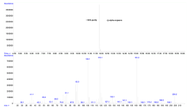 GC-MS trace of the current (-)-α Copaene batch