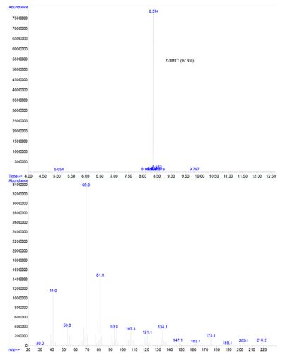 GC-MS trace of the current Z-TMTT batch