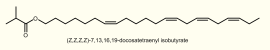 Euproctis chrysorrhoea