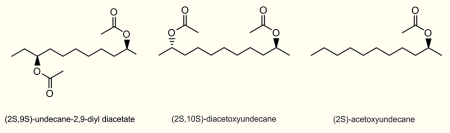 Pheromone of Pseudococcus longispinus