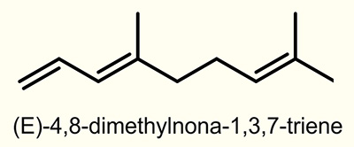 (E)-4,8-Dimethyl-1,3,7-nonatriene (E-DMNT)