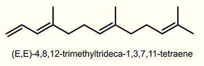 (E)-4,8-Dimethyl-1,3,7-nonatriene (E-DMNT)