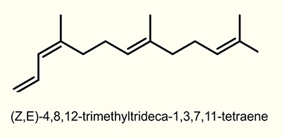 (Z)-4,8-Dimethyl-1,3,7-nonatriene (Z-DMNT)